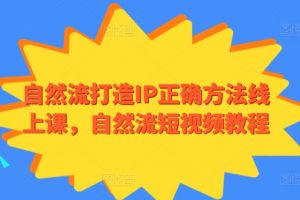 自然流打造IP正确方法线上课，自然流短视频教程