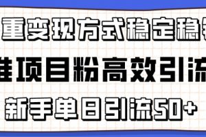 精准项目粉高效引流术，新手单日引流50+，多重变现方式稳定赚钱